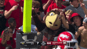 Terps Football Dance GIF by Maryland Terrapins