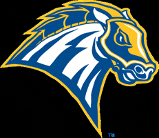 UNHChargers unh new haven unh chargers new haven chargers GIF