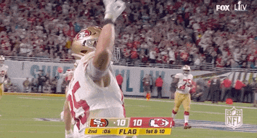 Super Bowl Football GIF by NFL
