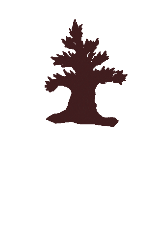 Zion National Park Sticker by Southern Utah University