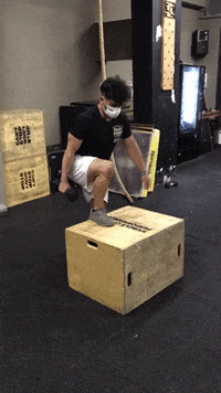 Alt Db Box Step Up GIF by Crossfit Boran