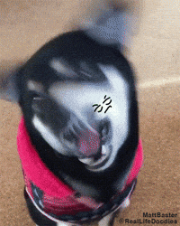 Loop GIF