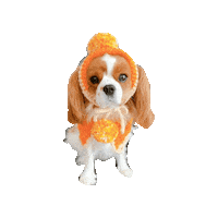 Dogs Sticker