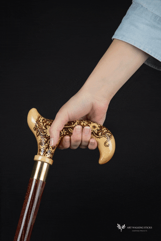 tailorroma giphyupload GIF