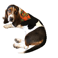 Big Eyes Flop Sticker