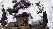 Water Sea GIF by Monterey Bay Aquarium