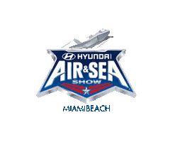 Memorial Day Hyundai Sticker by National Salute to America's Heroes