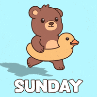 Happy Teddy Bear GIF by BEARISH