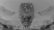 3d skull GIF by robob3ar