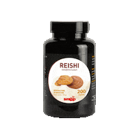 Network Funghi Sticker by Snep SpA