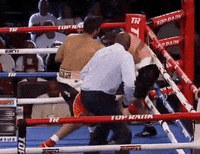 toprank fight boxing fighting espn GIF
