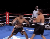 toprank fight boxing fighting espn GIF