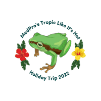 Mph Tropiclikeitshot Sticker by MedPro Staffing