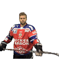 Hockey Stloukal Sticker by dsc-eishockey