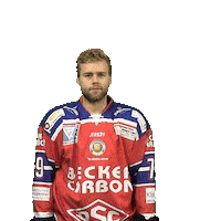 Hockey Stloukal Sticker by dsc-eishockey