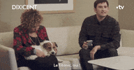 Dixpourcent 10Pourcent GIF by France tv