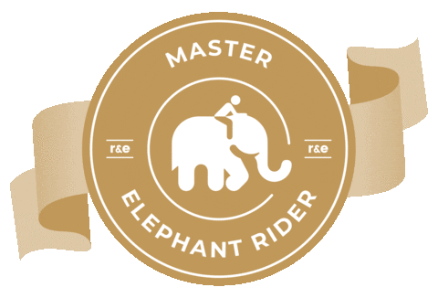 Masterelephantrider Sticker by ridersandelephants