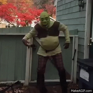 shrek GIF