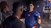 Blue Jays Baseball GIF by Toronto Blue Jays
