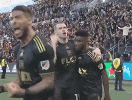 Celebrate Lets Go GIF by Major League Soccer