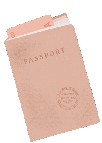 Travel Discover Sticker by Julie Flamingo