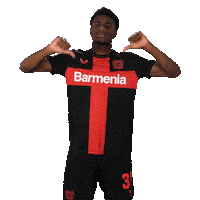 Bayer 04 No Sticker by Bayer 04 Leverkusen