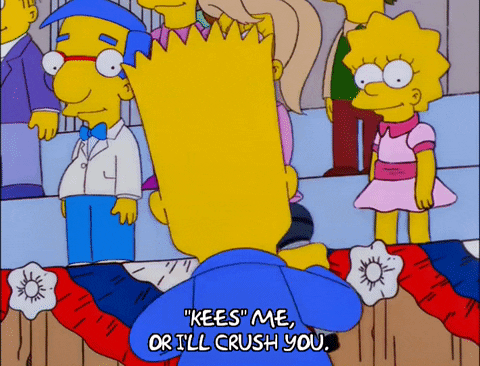 bart simpson episode 20 GIF