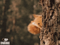 Uh Oh Oops GIF by TheSparkhouse