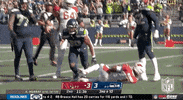 Seattle Seahawks Football GIF by NFL
