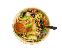 DogHouseGrillFresno beer salad french fries bbq sauce Sticker