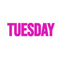 Typography Tuesday Sticker