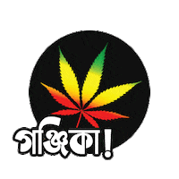 Marijuana Ganja Sticker by GifGari