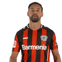 Bayer 04 Fan Sticker by Bayer 04 Leverkusen