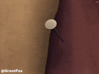 Kiwi GIF
