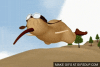 Kiwi GIF