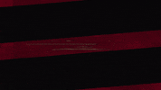Western Sydney Wanderers Wsw GIF by wswanderersfc