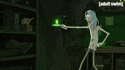 Season 3 Episode 307 GIF by Rick and Morty