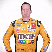 Look Down Kyle Busch GIF by Joe Gibbs Racing