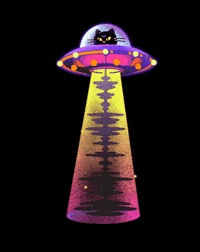 Cat Spaceship GIF by Mishu_Music