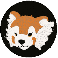 Damenfussball Sticker