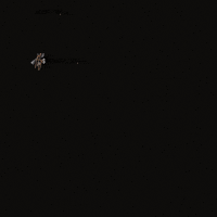 Focus Wow GIF by FlySMarketing.com