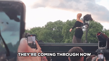 Adele Stops London Show to Help Distressed Fan