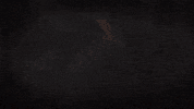 Animation Smoking GIF by Nova Sound