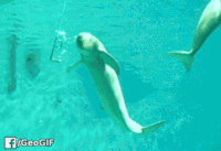 GIF by Demic
