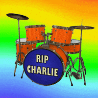 Rolling Stones Drummer GIF
