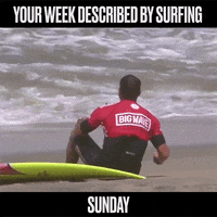 water sports surfing GIF by World Surf League