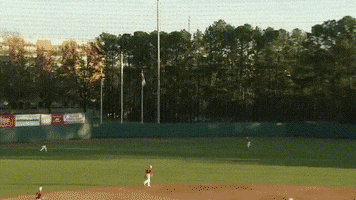 mlb GIF by SB Nation