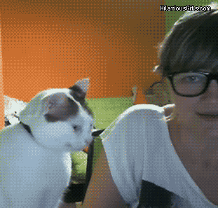 internet computer GIF