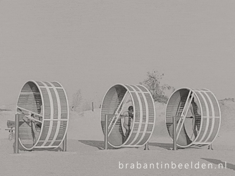 Summer Beach GIF by BrabantinBeelden