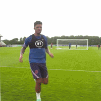 Three Lions Football GIF by England